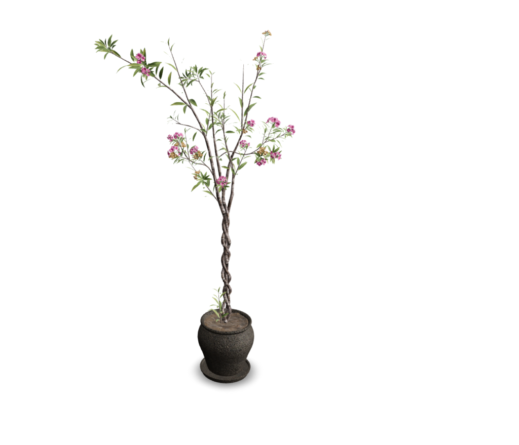 Blooming Flower Plant in Textured Pot