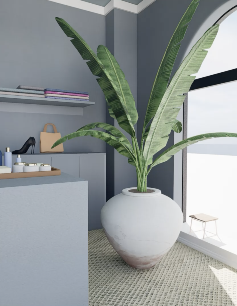 Modern Boutique Corner with Tropical Plant Accent