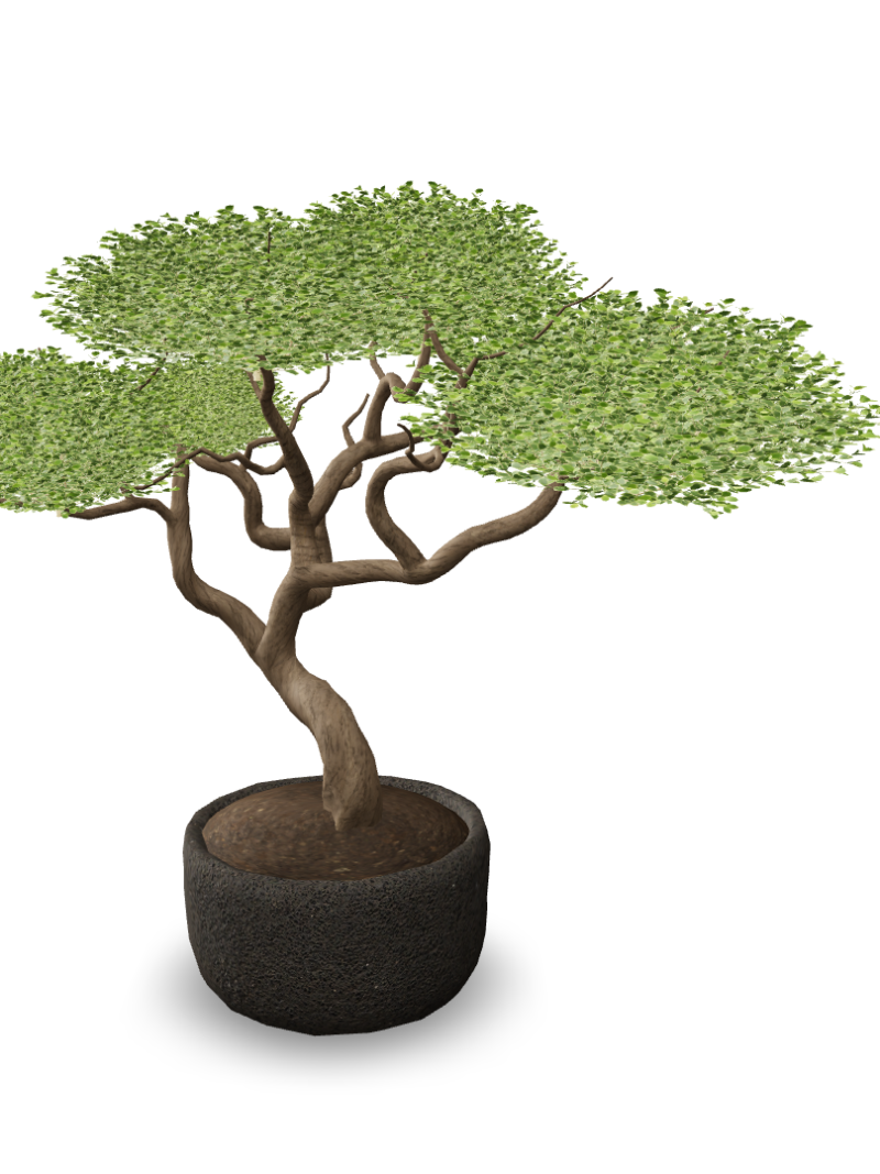 Realistic Bonsai Tree in Textured Pot