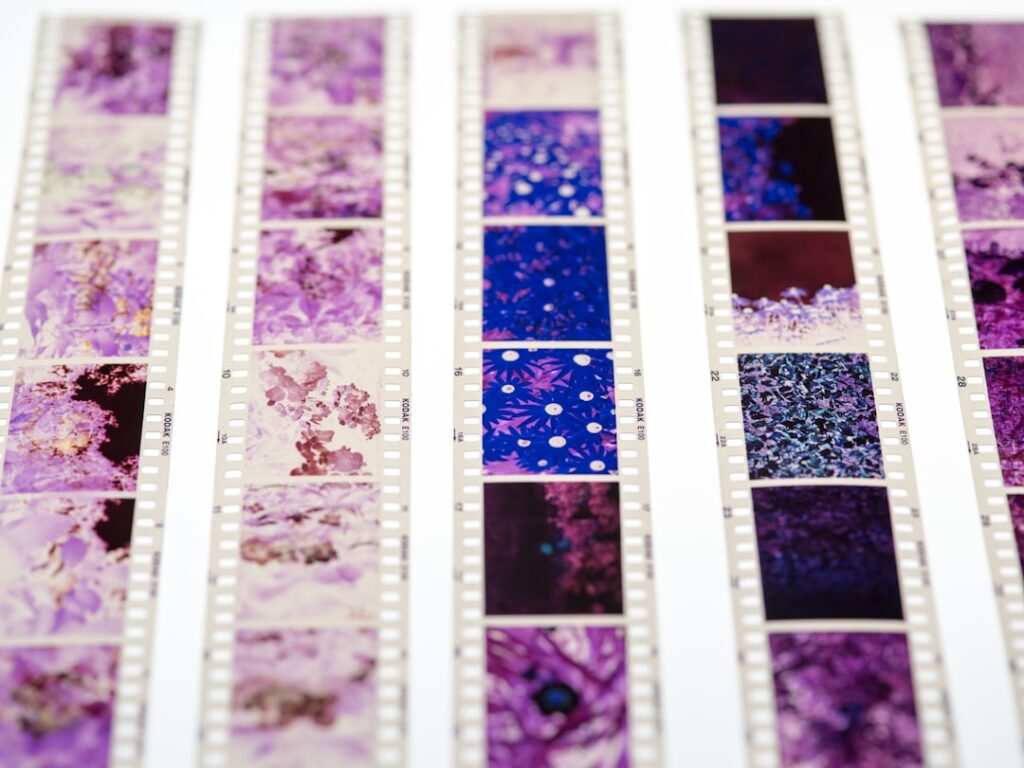 Cinematic Color Grading Secrets: Elevating Brand Films to Hollywood Quality